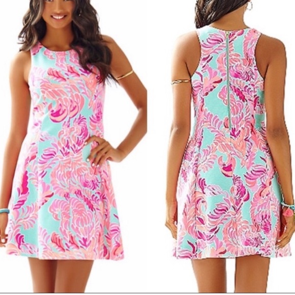 lily loves fit and flare dress